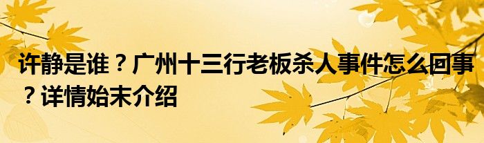 许静是谁？广州十三行老板杀人事件怎么回事？详情始末介绍