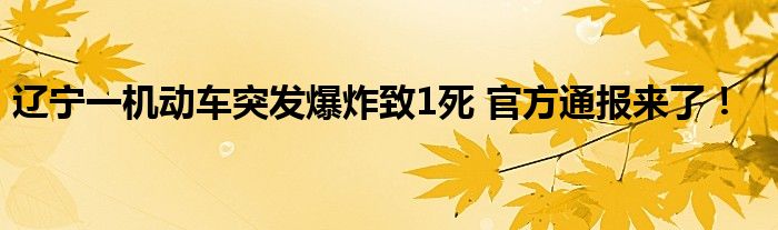 辽宁一机动车突发爆炸致1死 官方通报来了！