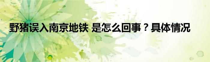 野猪误入南京地铁 是怎么回事？具体情况