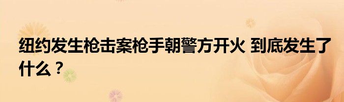 纽约发生枪击案枪手朝警方开火 到底发生了什么？