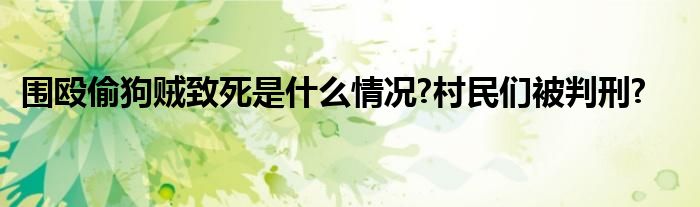 围殴偷狗贼致死是什么情况?村民们被判刑?