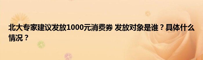 北大专家建议发放1000元消费券 发放对象是谁？具体什么情况？