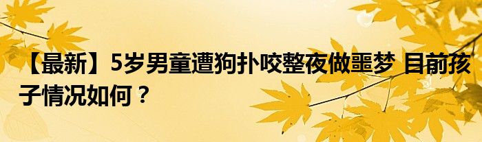 【最新】5岁男童遭狗扑咬整夜做噩梦 目前孩子情况如何？