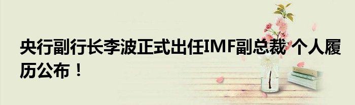 央行副行长李波正式出任IMF副总裁 个人履历公布！