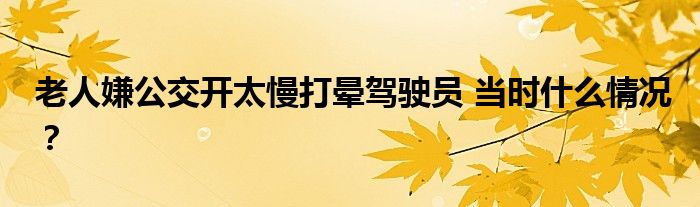 老人嫌公交开太慢打晕驾驶员 当时什么情况？