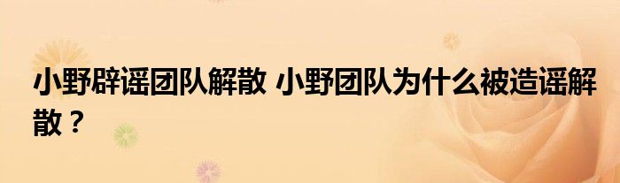 小野辟谣团队解散 小野团队为什么被造谣解散？