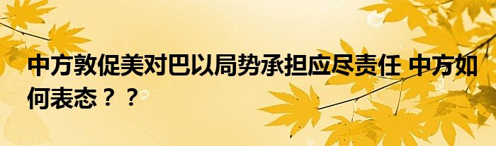 中方敦促美对巴以局势承担应尽责任 中方如何表态？？