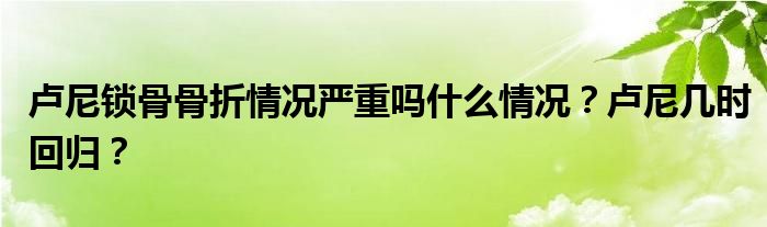 卢尼锁骨骨折情况严重吗什么情况？卢尼几时回归？