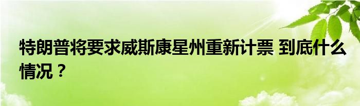 特朗普将要求威斯康星州重新计票 到底什么情况？