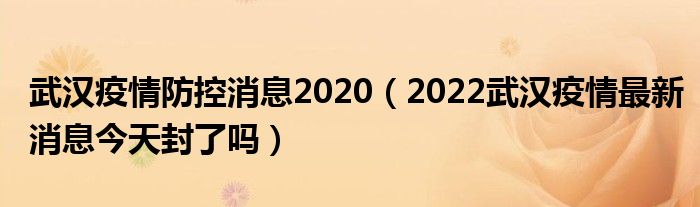 武汉疫情防控消息2020（2022武汉疫情最新消息今天封了吗）