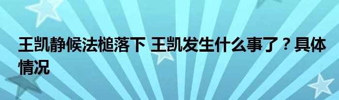 王凯静候法槌落下 王凯发生什么事了？具体情况