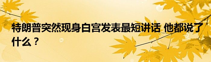 特朗普突然现身白宫发表最短讲话 他都说了什么？