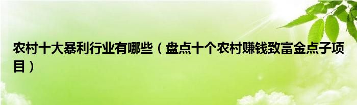 农村十大暴利行业有哪些（盘点十个农村赚钱致富金点子项目）