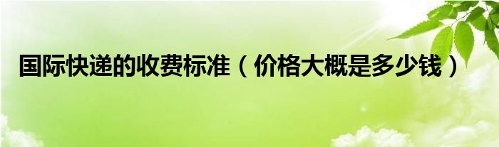 国际快递的收费标准（价格大概是多少钱）