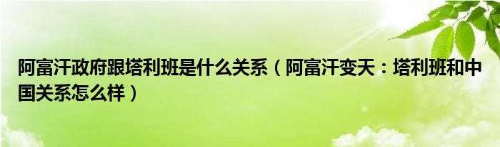 阿富汗政府跟塔利班是什么关系（阿富汗变天：塔利班和中国关系怎么样）