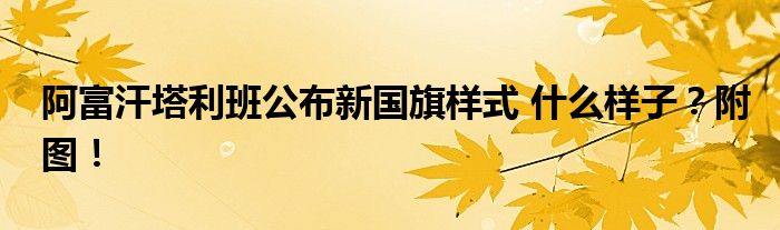 阿富汗塔利班公布新国旗样式 什么样子？附图！