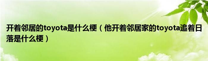 开着邻居的toyota是什么梗（他开着邻居家的toyota追着日落是什么梗）