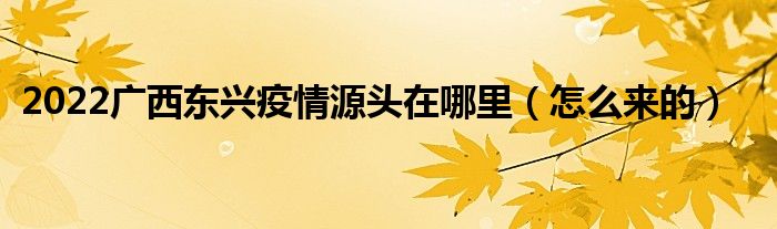 2022广西东兴疫情源头在哪里（怎么来的）