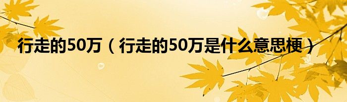 行走的50万（行走的50万是什么意思梗）