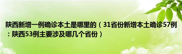 陕西新增一例确诊本土是哪里的（31省份新增本土确诊57例：陕西53例主要涉及哪几个省份）