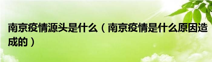 南京疫情源头是什么（南京疫情是什么原因造成的）