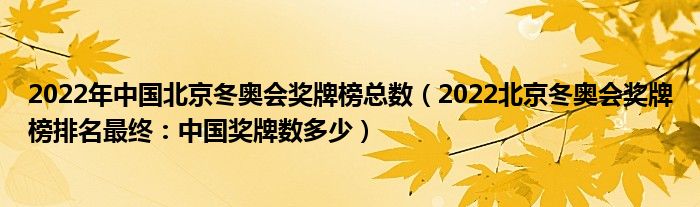 2022年中国北京冬奥会奖牌榜总数（2022北京冬奥会奖牌榜排名最终：中国奖牌数多少）