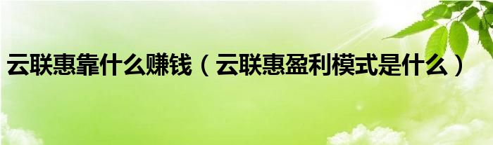 云联惠靠什么赚钱（云联惠盈利模式是什么）