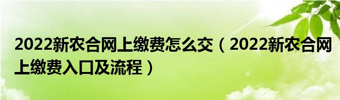 2022新农合网上缴费怎么交（2022新农合网上缴费入口及流程）