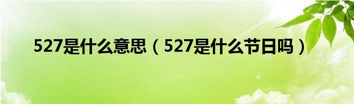 527是什么意思（527是什么节日吗）