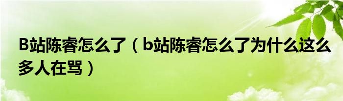 B站陈睿怎么了（b站陈睿怎么了为什么这么多人在骂）