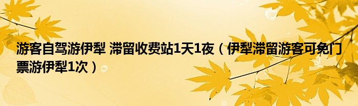 游客自驾游伊犁 滞留收费站1天1夜（伊犁滞留游客可免门票游伊犁1次）