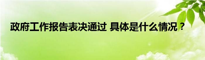 政府工作报告表决通过 具体是什么情况？