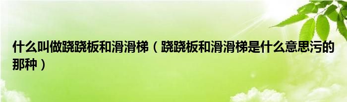 什么叫做跷跷板和滑滑梯（跷跷板和滑滑梯是什么意思污的那种）