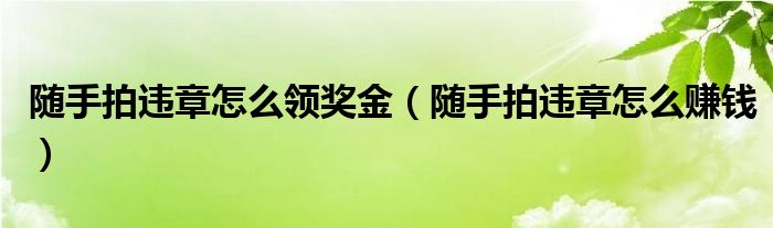 随手拍违章怎么领奖金（随手拍违章怎么赚钱）