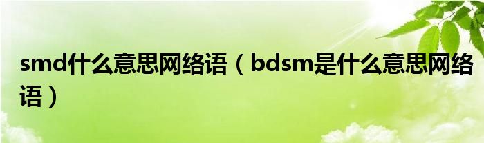 smd什么意思网络语（bdsm是什么意思网络语）