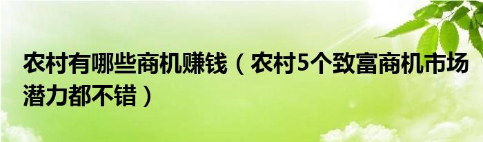 农村有哪些商机赚钱（农村5个致富商机市场潜力都不错）