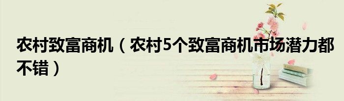 农村致富商机（农村5个致富商机市场潜力都不错）