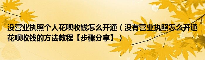 没营业执照个人花呗收钱怎么开通（没有营业执照怎么开通花呗收钱的方法教程【步骤分享】）