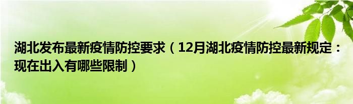 湖北发布最新疫情防控要求（12月湖北疫情防控最新规定：现在出入有哪些限制）