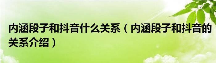 内涵段子和抖音什么关系（内涵段子和抖音的关系介绍）