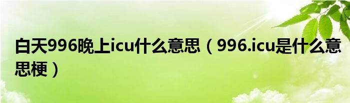 白天996晚上icu什么意思（996.icu是什么意思梗）