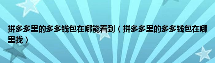 拼多多里的多多钱包在哪能看到（拼多多里的多多钱包在哪里找）