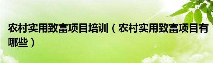 农村实用致富项目培训（农村实用致富项目有哪些）