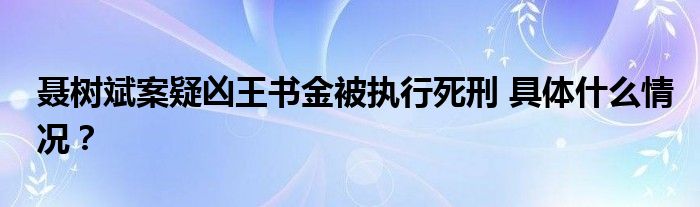 聂树斌案疑凶王书金被执行死刑 具体什么情况？