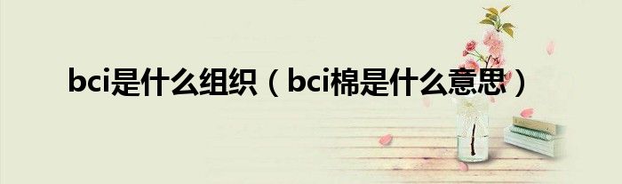 bci是什么组织（bci棉是什么意思）