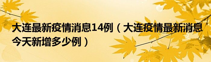 大连最新疫情消息14例（大连疫情最新消息今天新增多少例）