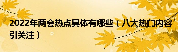 2022年两会热点具体有哪些（八大热门内容引关注）