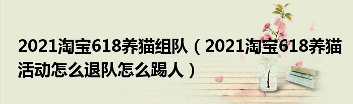 2021淘宝618养猫组队（2021淘宝618养猫活动怎么退队怎么踢人）