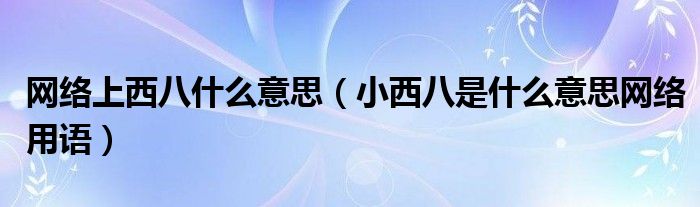 网络上西八什么意思（小西八是什么意思网络用语）