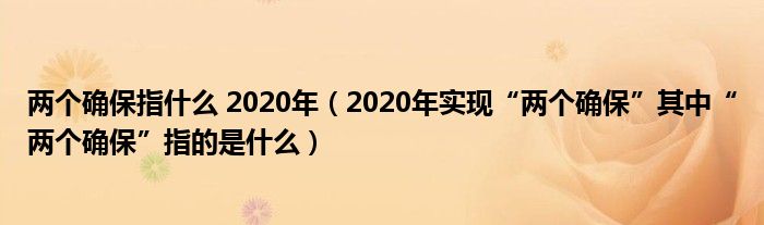 两个确保指什么 2020年（2020年实现“两个确保”其中“两个确保”指的是什么）